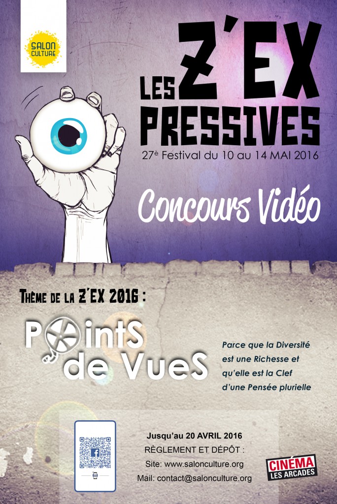 lesZEX-affiche concours video modifiée